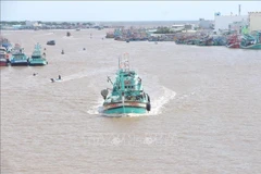 Fishing boats at the Doc River estuary, Ca Mau province. (Photo: VNA)