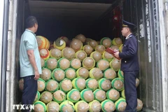 Customs officials check agricultural products before exporting at Huu Nghi Border Gate in Lang Son province (Photo: VNA)