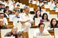 Lawmakers at the NA's plenary sitting on May 16 morning. (Photo: VNA)