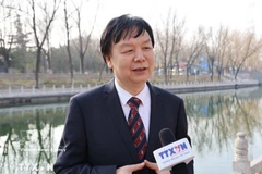 Professor Mi Liang, Director of the Centre for Southeast Asian Studies at Beijing Foreign Studies University of China. (Photo: VNA)