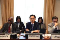 Ambassador Do Hung Viet (centre), Permanent Representative of Vietnam to the United Nations, speaks at a consultation in Geneva. (Photo: VNA)