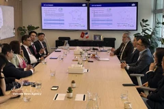 Vietnamese Ambassador to France Trinh Duc Hai meets with representatives of FPT at its office in the La Défense area of Paris on March 10. (Photo: VNA)