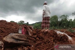 A resident checks a landslide-hit location in Mejenang, Cilacap, Central Java, on November 14. (Photo: Antara)