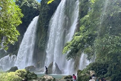 Ban Gioc fall in Cao Bang province (Photo: VNA)
