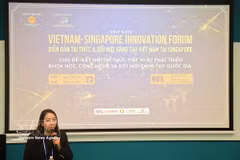 Ta Thuy Lien, head of the liaison board of the Vietnamese community in Singapore. (Photo published by VNA)