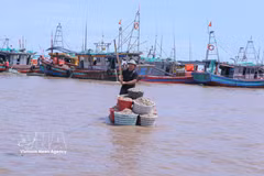 A fisherman use rafts to transport seafood from fishing boats to shore for sale at Giao Hai fish market in Giao Phuc commune, Ninh Binh province. (Photo: VNA)
