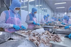 Workers process seafood for exports. (Photo: VNA)