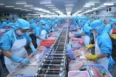 Processing aquatic products for export (Photo: VNA)