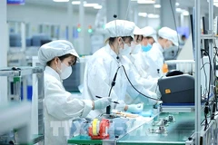 Bumjim Electronics Vina factory, a 100% Korean-owned enterprise, in Quang Ninh province (Photo: VNA)