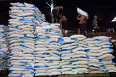 Workers unload the fertilisers at a distribution centre in Medan on December 5, 2024. (Photo: Antara)