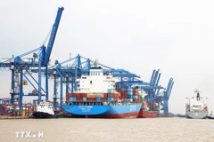 Cat Lai port in Ho Chi Minh City. (Photo: VNA)