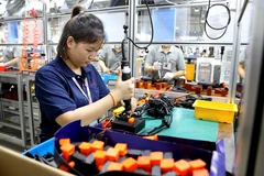 Workers at the Lien Ha Thai Industrial Park in the Thai Binh Economic Zone). (Photo: VNA)
