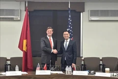 Vietnamese Deputy Minister of Foreign Affairs Dang Hoang Giang (R) and US Acting Assistant Secretary of State Fleet White (Photo: VNA)