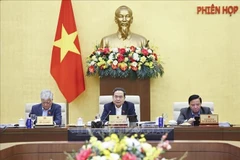 NA Chairman Tran Thanh Man (centre) speaks at the session. (Photo: VNA)