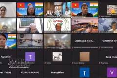 Participants in the webinar held by the Vietnamese Trade Office in India on August 7 (Photo: VNA)