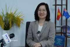 Head of the Vietnam Trade Office in Australia Tran Thi Thanh My (Photo: VNA)