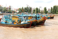 Lam Dong's fishing boat anchored on Ca Ty river, Phan Thiet ward, lam Dong province (Photo: VNA)