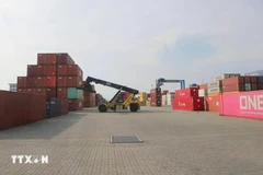 Loading/unloading goods at the port of Tan Cang Hai Phong International Container Terminal Company Limited. (Photo: VNA)