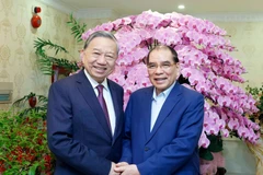 Party General Secretary To Lam (L) and former Party General Secretary Nong Duc Manh in Hanoi on February 2 (Photo: VNA)