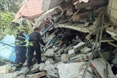 Rescuers of the Ministry of Public Security use sniffer dogs to search for victims at a building in Zabuthari town, Naypyidaw capital, Myanmar. (Photo: VNA) 