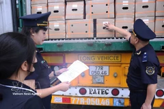 Lao Cai Customs inspects imported goods at the Kim Thanh International Road Border Gate, Lao Cai province. (Photo: VNA)