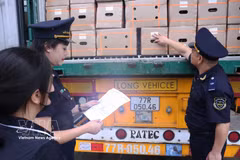 Lao Cai Customs inspects imported goods at the Kim Thanh International Road Border Gate, Lao Cai province. (Photo: VNA)
