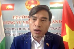 Trade Counsellor Bui Trung Thuong speaks at the forum. (Photoo: VNA)