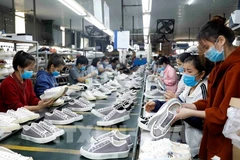 Production of footwear for export to the European market at Ha Tay Chemical Textile Co., Ltd. (Photo: VNA)