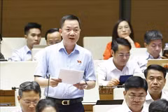 Deputy Trinh Xuan An speaks at the session (Photo: VNA)