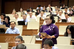 National Assembly deputy Nguyen Thi Suu of Hue city speaks at a discussion during the first extraordinary session of the 16th National Assembly. (Photo: VNA)