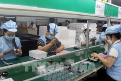 Illustrative photo (Photo: VNA)