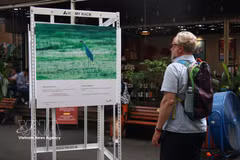 A foreign tourist visits an exhibition in Ho Chi Minh City. (Photo: VNA)