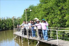 Tourists visit mangrove forests in the coastal commune of An Hoa, Vinh Long province. (Photo: VNA)