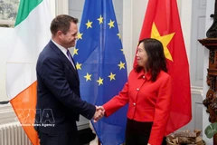 Deputy Foreign Minister Le Thi Thu Hang meets with Irish Minister of State at the Department of Foreign Affairs and Trade Neale Richmond (Photo: VNA)