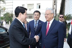 Speaker of the Egyptian House of Representatives Hanafy El Gebaly (R) welcomes State President Luong Cuong in Cairo on August 6. (Photo: VNA)