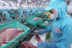 Workers process pangasius fillet for export at Sao Mai Group's factory in An Giang province (Photo: VNA)