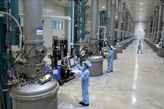 A production line for solar cell materials at JA Solar Vietnam Co., Ltd., a Hong Kong (China)-invested enterprise located in Quang Chau Industrial Park, Bac Ninh province. (Photo: VNA) 