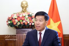 Vietnamese Deputy Minister of Foreign Affairs Nguyen Manh Cuong. (Photo: VNA)