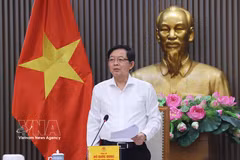 Deputy Prime Minister Ho Quoc Dung speaks at the meeting to appraise revisions to the National Land Use Planning for 2021–2030 with a vision to 2050. (Photo: VNA)