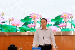 Deputy Minister of Finance Nguyen Duc Chi speaks at the press briefing (Photo: VNA)