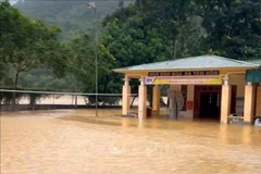 Typhoon Bualoi and subsequent flooding severely hit Nghe An province (Photo: VNA)