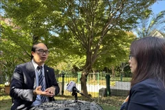 Dr Nguyen Hong Son, Chairman of the Union of Vietnamese Associations in Japan, grants an interview to the Vietnam News Agency's reporter in Tokyo. (Photo: VNA)