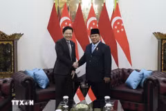 Indonesian President Prabowo Subianto (R) welcomes Singaporean Prime Minister Lawrence Wong in Jakarta on July 6. (Photo: VNA)