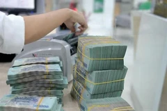 The central bank must ensure publicity, transparency and have a strict inspection and supervision mechanism to avoid systemic risks. (Photo: vietnambiz.vn)