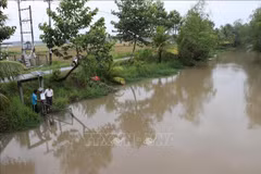 An in-field irrigation canal supplying water for the Cau Tre rice fields in Tieu Can commune is quipped with a water environment monitoring system managed via smartphones. (Photo: VNA)