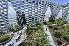 Green space in a building in Singapore. (Photo: VNA)