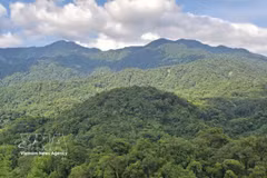 Vietnam is among Asia’s leading countries in forest restoration and sustainable forest management. (Photo: VNA)