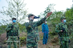 Soldiers of the A Pa Chai Border Guard Station in Dien Bien patrol the border area. (Photo: VNA)