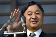 Japanese Emperor Naruhito. (File Photo: AFP/VNA)