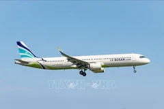 An aircraft of Air Busan (Photo: Yonhap/VNA)